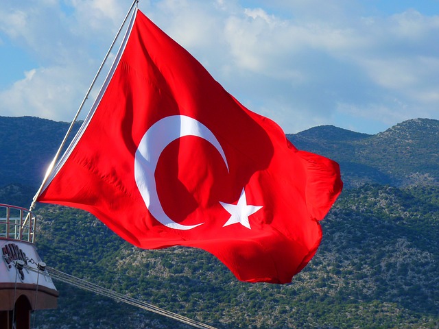 Bir Türkçe Meselesi