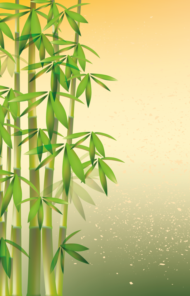 Bambu Ağacından Dersler 